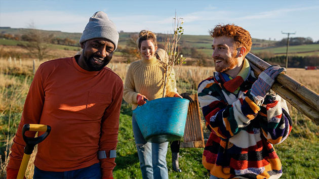 Group helping to plant trees