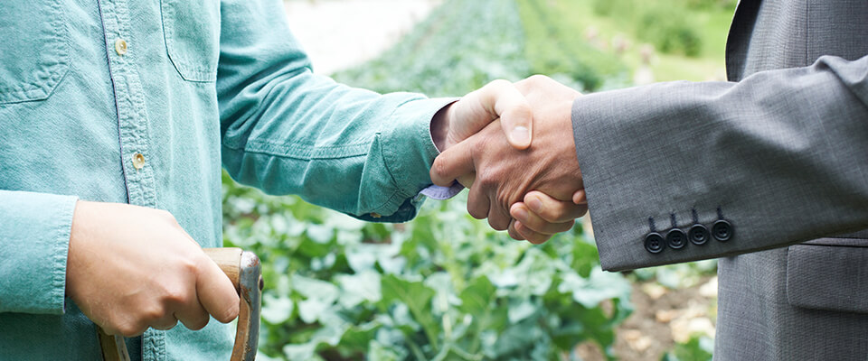 Farmer and businessman shaking hands