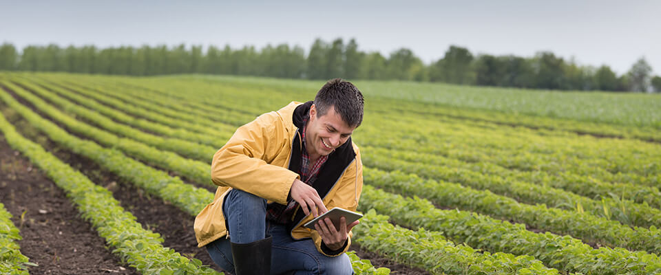 Farmer in field with tablet