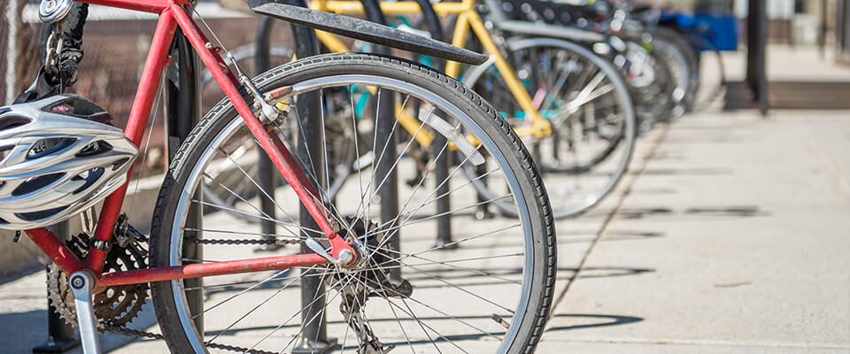 Row of parked bicycles