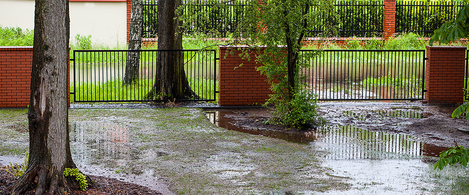 Spring flood in garden